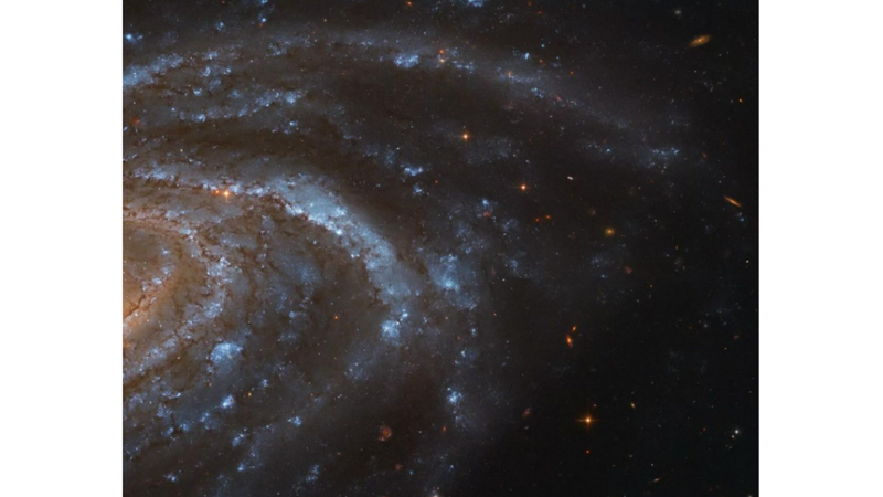 FROM BLUE TO RED ON THE JOURNEY OF LIFE: The CAMELOPARDALIS CONSTELLATION -Friendz10