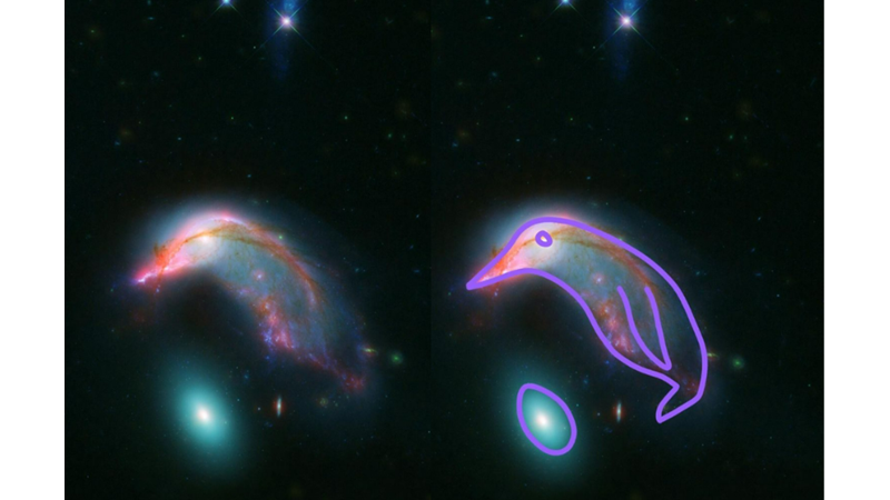 THE SPIRAL GALAXY LIKE A PENGUIN