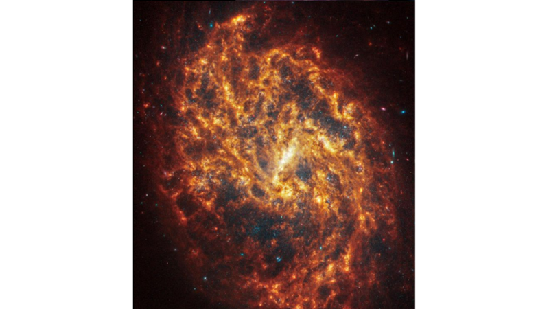 IMAGES OF 19 SPIRAL GALAXIES