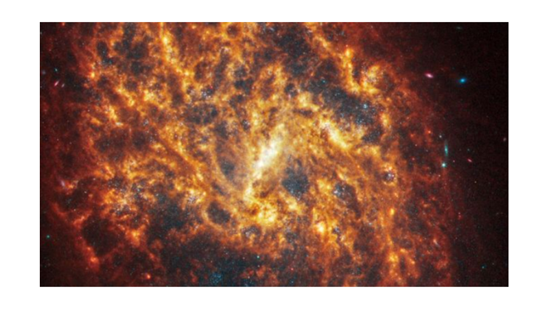 GALAXIES WEARING RED AND GOLD COLOURS