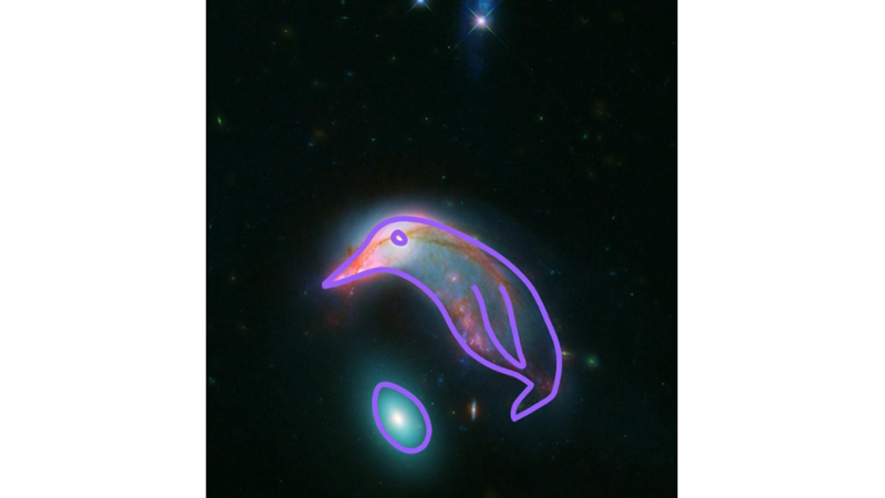 THE SPIRAL GALAXY LIKE A PENGUIN