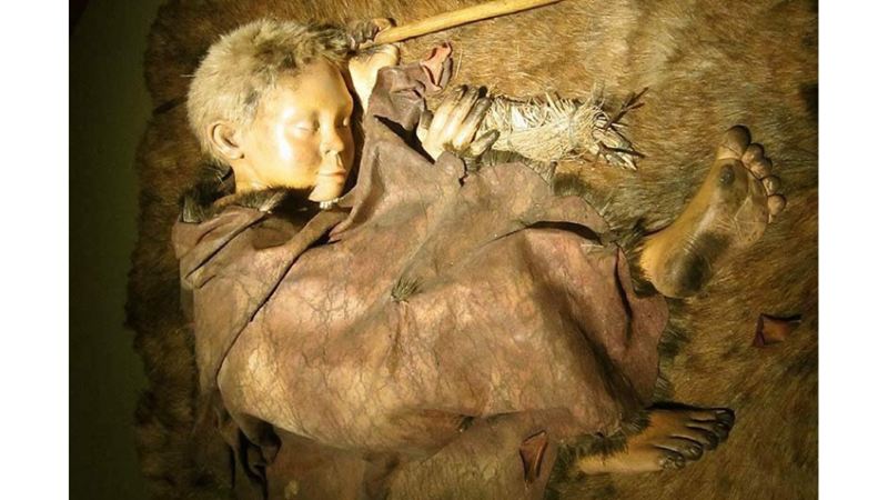 THE BOY WHO REWROTE OUR HISTORY: HUMAN-NEANDERTHAL HYBRID