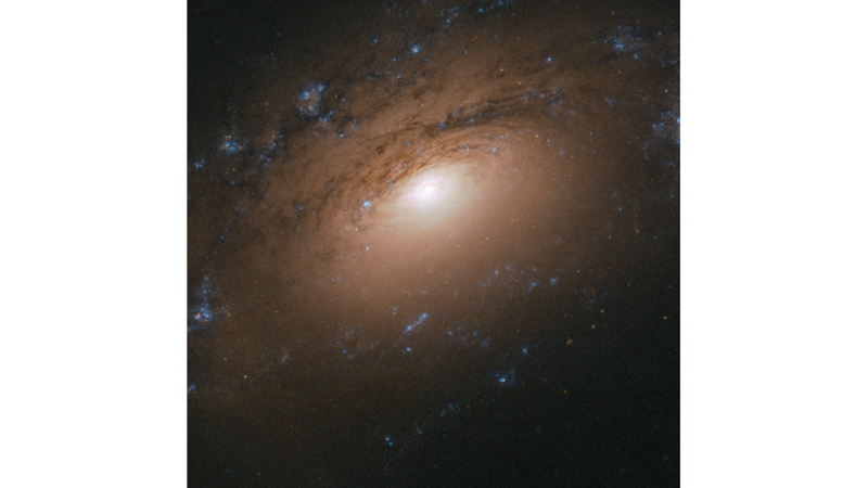 ÇOK TOZLU GALAKSİ: NGC 3169