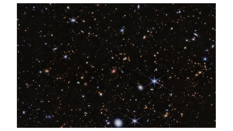 A SPIDER WEB PROTOCLUSTER OF MORE THAN 100 GALAXIES: THE SPIDER WEB PROTOCLUSTER