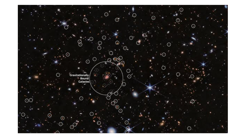 A SPIDER WEB PROTOCLUSTER OF MORE THAN 100 GALAXIES: THE SPIDER WEB PROTOCLUSTER