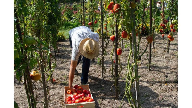 TARIM OLMAZSA OLMAZ: 14 MAYIS DÜNYA ÇİFTÇİLER GÜNÜ - Friendz10