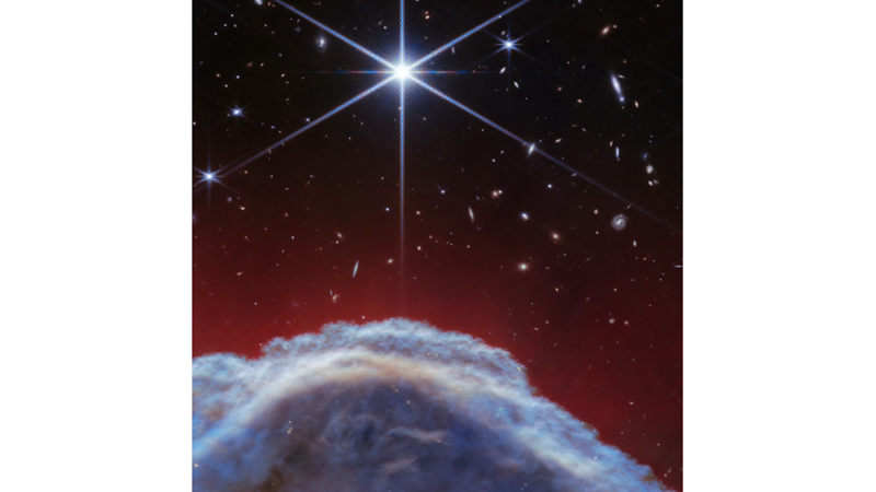 THE MANE ATTRACTIVENESS OF THE UNIVERSE