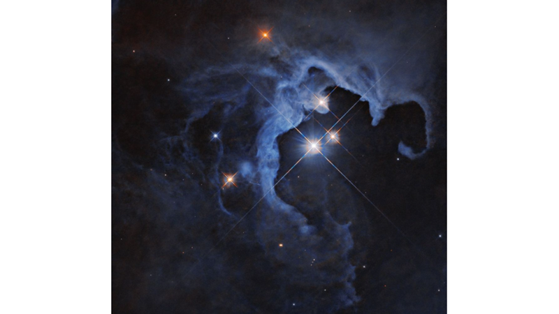 THE RISING OF THE SUN-LIKE STAR: T TAURI