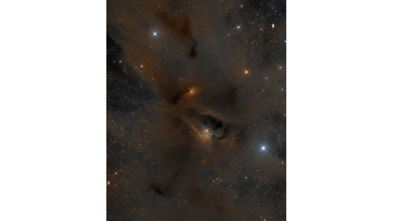 YOUNG STARS DARK NEBULAE
