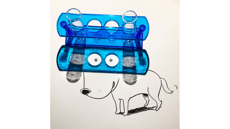 YENİ YARATICI GÖLGE SANATI