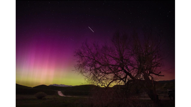 SOUTHERN LIGHTS IN THE SKY - YES, NOT NORTH!