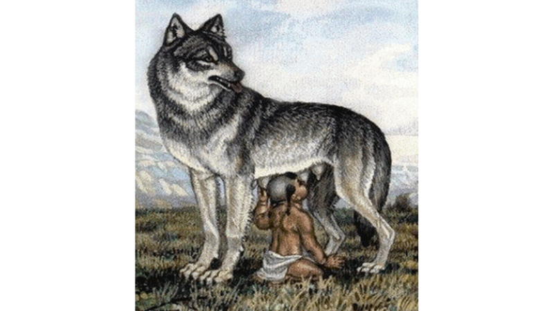 YOL GÖSTERİCİ SAVAŞÇI KURT: GÖK KURT