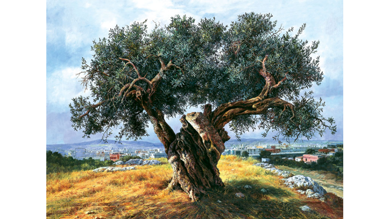 ZEYTİN, ZEYTİN AĞACI VE MİTOLOJİ