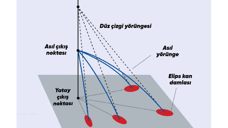 OLAY YERİ İNCELEME UZMANLARININ KULLANDIĞI MATEMATİKSEL YÖNTEMLER