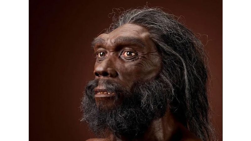 İNSANLARIN TEN RENGİ ŞİMDİKİ GİBİ AYRILMADAN ÖNCE HANGİ TEK RENGE SAHİPTİ?