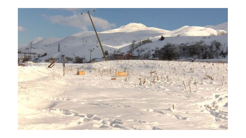 ADIYAMAN’DA TARLALAR 3 METRE YÜKSELDİ!