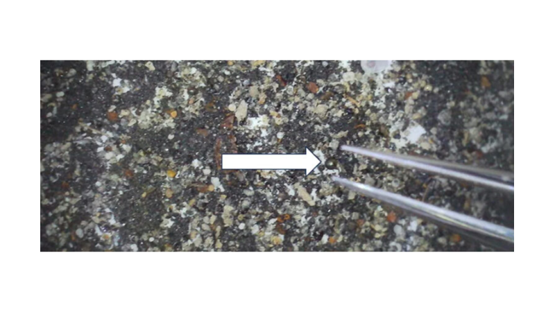 MATERIAL FOUND OCEAN IS NOT FROM THIS SOLAR SYSTEM -Friendz10