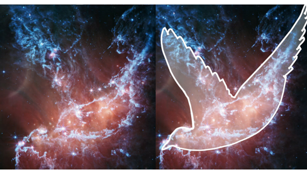 RAVEN IN THE GALAXY: NGC 346 -Friendz10