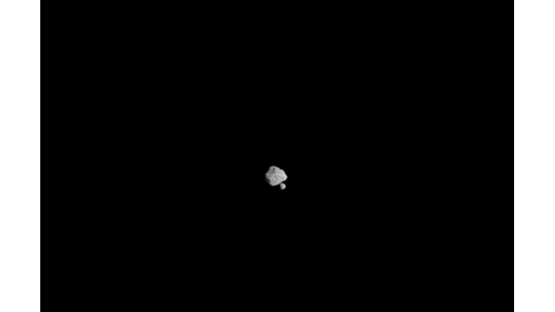 PARTY FOR TWO: DINKINESH ASTEROID -Friendz10