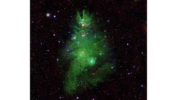 SMALL STAR CLUSTER THAT LOOKS LIKE A CHRISTMAS TREE -Friendz10