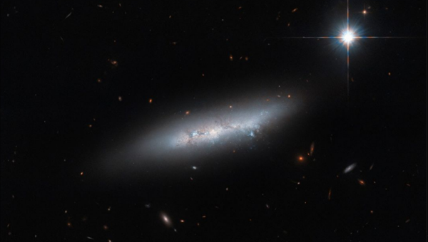 85 MILLION LIGHT YEARS AWAY, A DISORDERED GALAXY: NGC 2814 