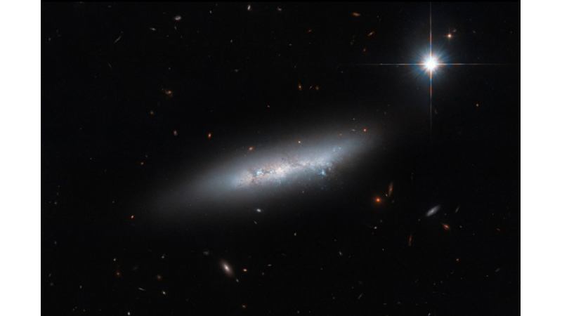 85 MILLION LIGHT YEARS AWAY, A DISORDERED GALAXY: NGC 2814