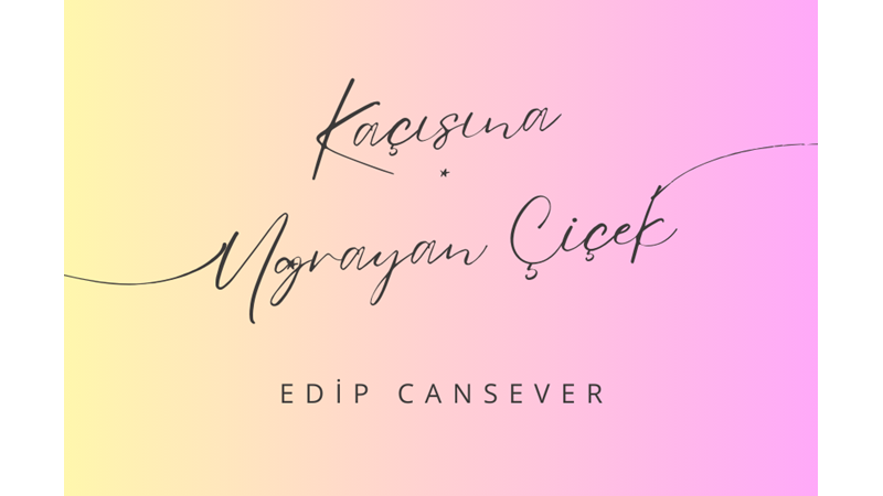 "KAÇIŞINA UĞRAYAN ÇİÇEK" -EDİP CANSEVER