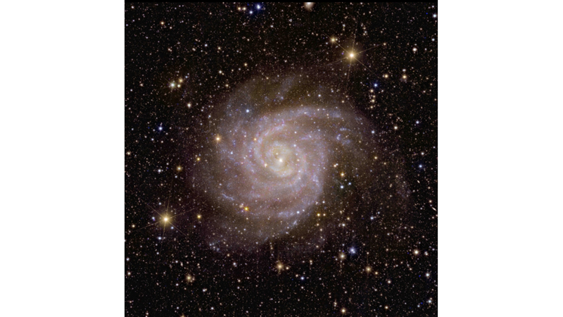 HIDDEN SPIRAL GALAXY -Friendz10