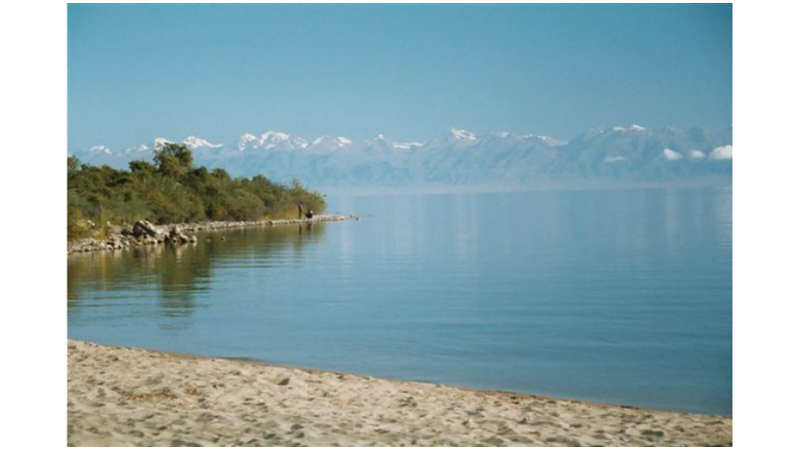 SEVMEDİĞİ BİRİYLE EVLENECEĞİNE GÖL OLMAK