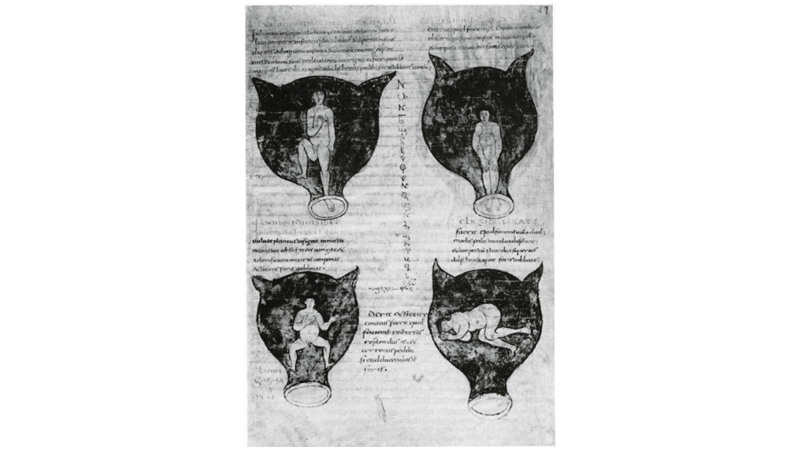 KURT TANRI: SORANUS