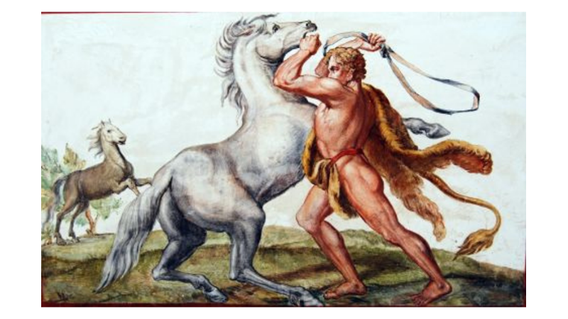 HERKÜL’ÜN 12 GÖREVİ