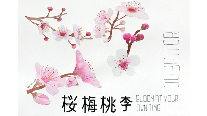 ERKEN DEĞİL, GEÇ DE KALMADIN… -Friendz10