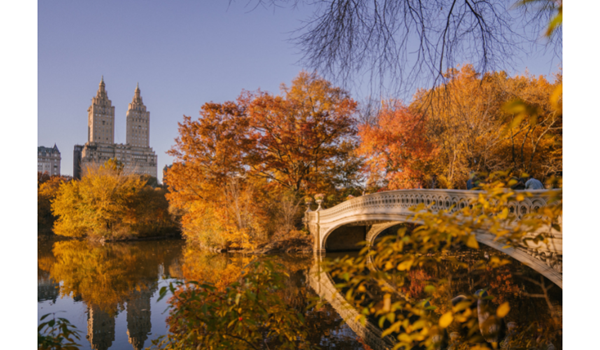 WHAT DO YOU WISH FOR A WALK IN THE FAMOUS CENTRAL PARK?