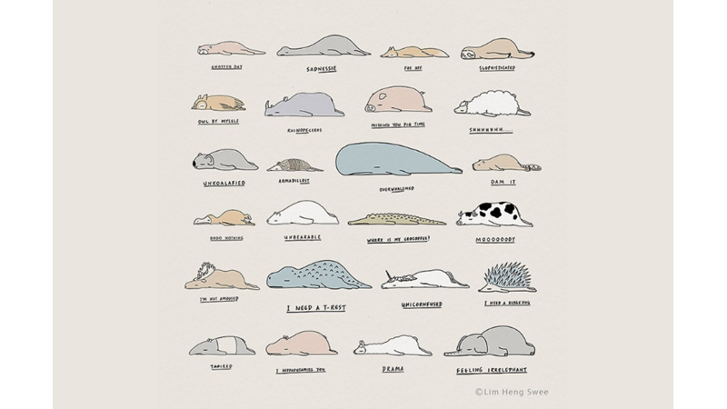 KOMİK HUYSUZ HAYVAN SERİSİ