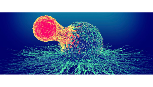 NEW DISCOVERY MAY SAVE LATE STAGE CANCER PATIENTS FROM TUMOUR -Friendz10