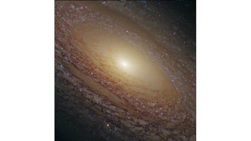 BÜYÜK AYI TAKIMYILDIZININ BARINDIRDIĞI GALAKSİ: NGC 2481 -Friendz10