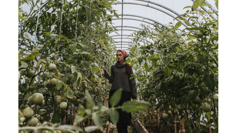 "EGE'DE KÜÇÜK BİR SAHİL KASABASINA YERLEŞEYİM"CİLER -Friendz10