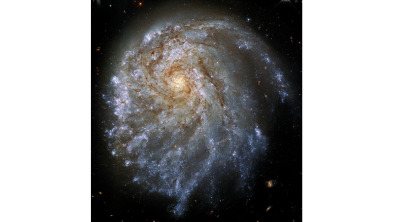SPIRAL GALAXY OUT OF PROPORTION TO OTHER SPIRAL GALAXIES -Friendz10