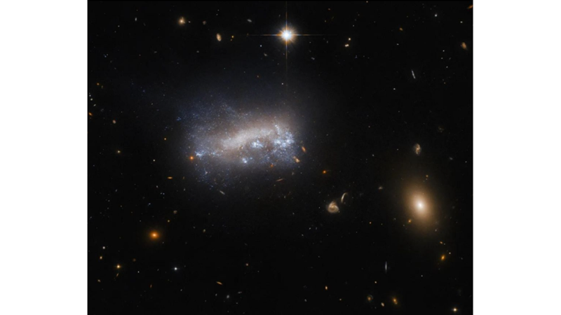 A DWARF GALAXY IN THE CONSTELLATION VIRGO