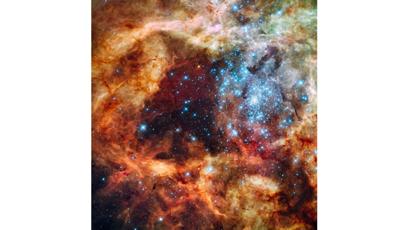 MUHTEŞEM VAHŞİ: TARANTULA NEBULASI