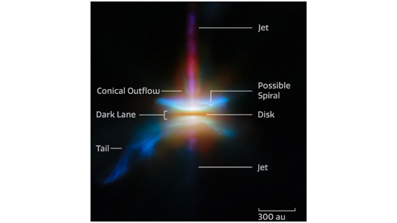 DUST FROM THE STARS: HERBIG-HARO