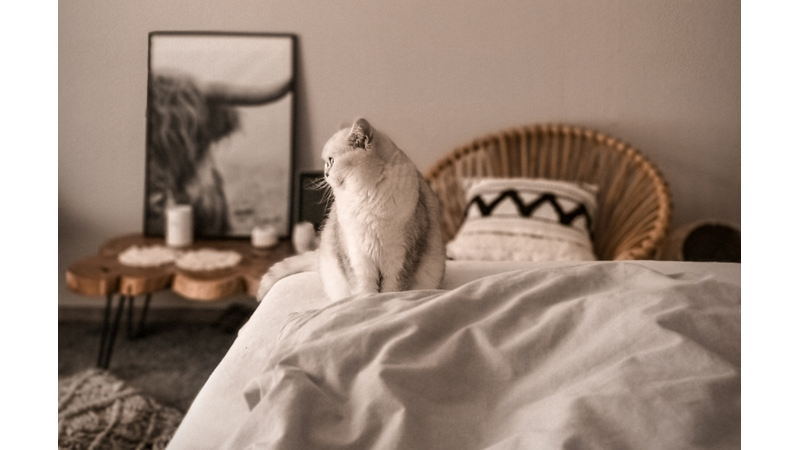 BELKİ İŞLEVSEL DEĞİL AMA KESİNLİKLE ŞIK: YATAK ODASINDA BİR KÖŞE - Friendz10