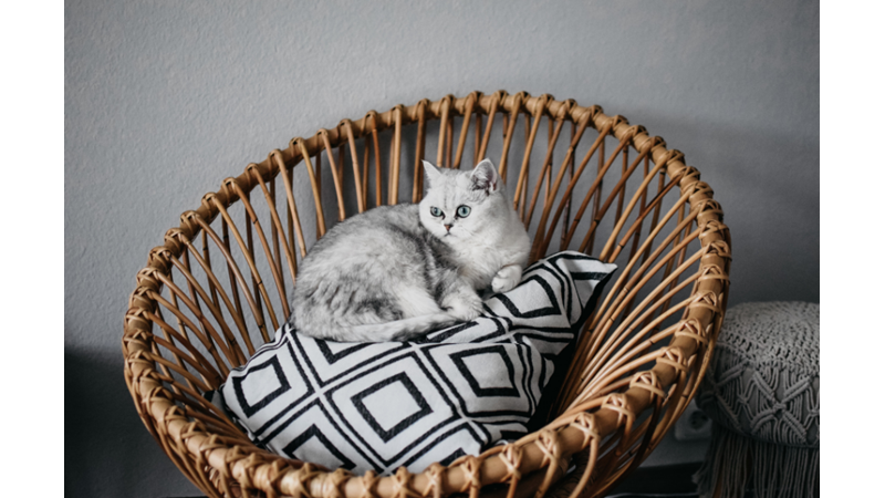 BELKİ İŞLEVSEL DEĞİL AMA KESİNLİKLE ŞIK: YATAK ODASINDA BİR KÖŞE - Friendz10