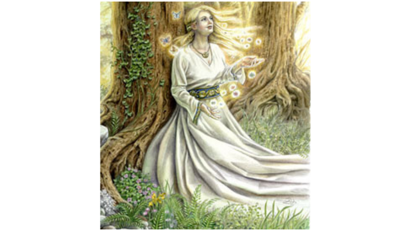 HERKESE GÖRE BAŞKA KİŞİ OLAN: NERTHUS