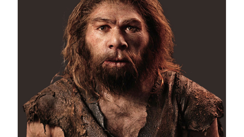 İNSANLARIN TEN RENGİ ŞİMDİKİ GİBİ AYRILMADAN ÖNCE HANGİ TEK RENGE SAHİPTİ?