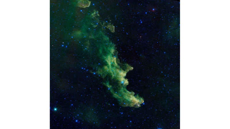 DO YOU SEE A WITCH? THE WITCH'S HEAD NEBULA