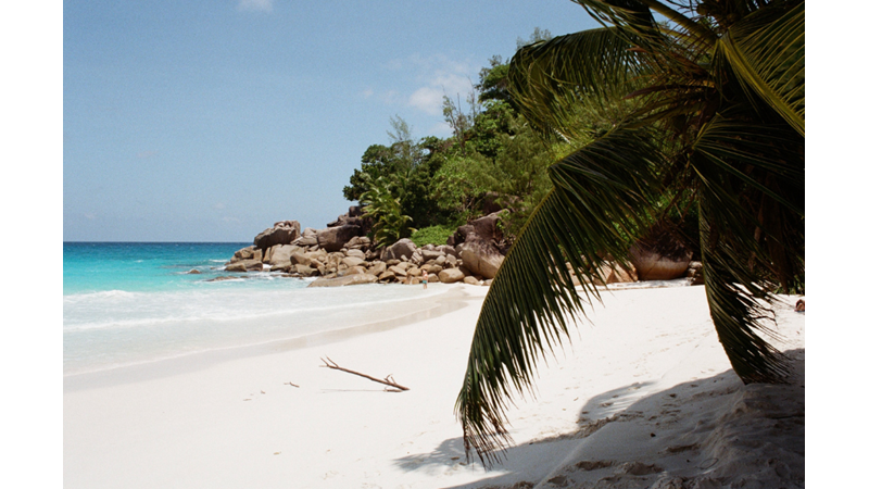 FOTOĞRAF ALBÜMÜ: SOSYAL MEDYADA FARK YARATACAK HESAPLARDAN