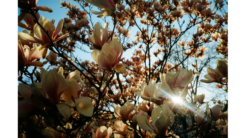 FOTOĞRAF ALBÜMÜ: SOSYAL MEDYADA FARK YARATACAK HESAPLARDAN