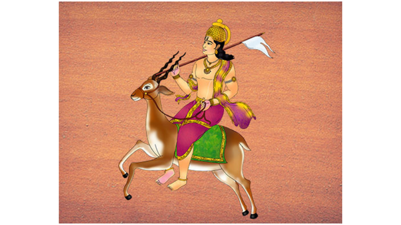 SRİ LANKA ADASINI OLUŞTURAN HIRS