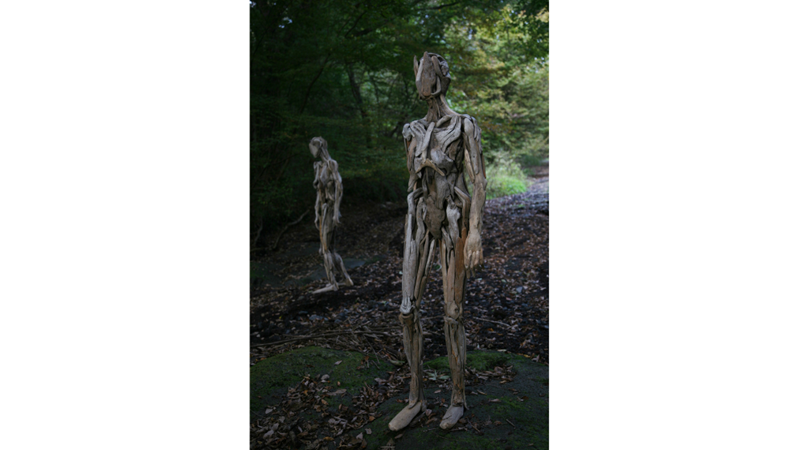 CİNSİYETSİZ AĞAÇ HEYKELLER: TORSO